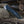 Load image into Gallery viewer, Nex Cutter Replacement Blade